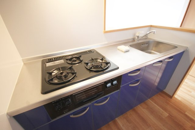 ミリカ・ルブラ2のキッチン