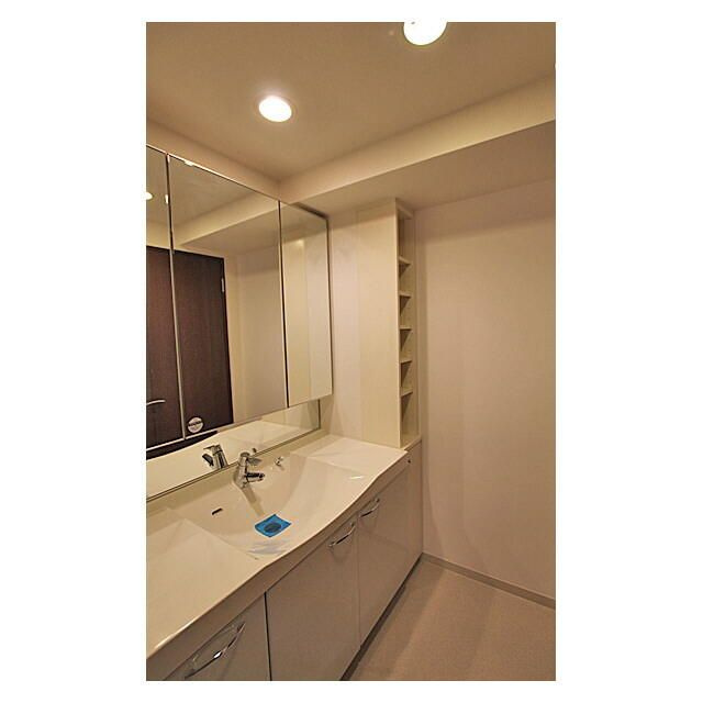 ドゥーエ向島Ⅱの洗面所