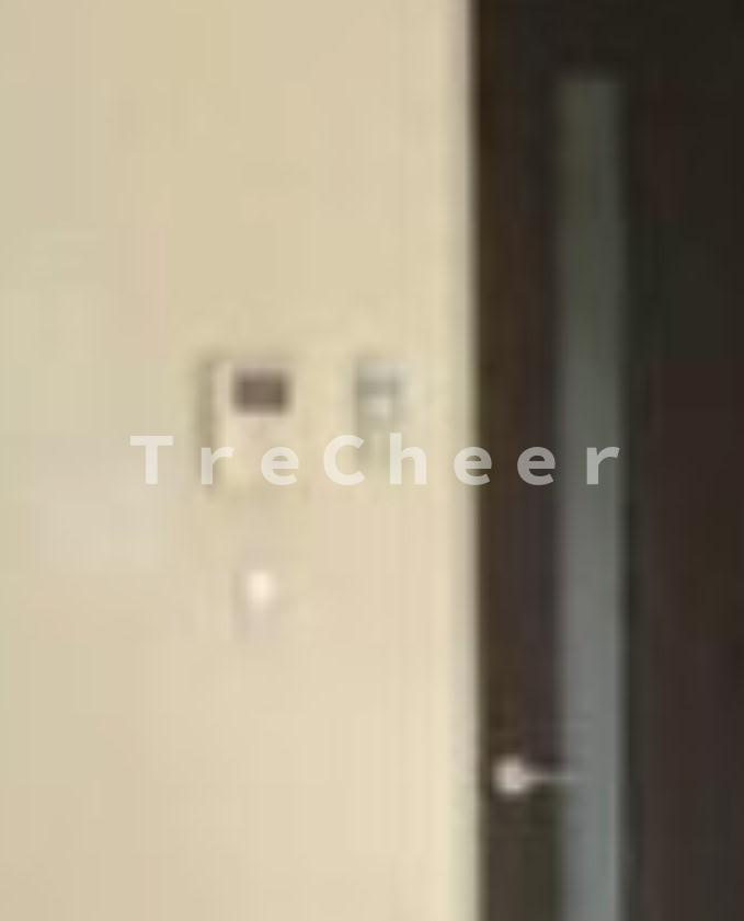 Red Wing Ⅰのセキュリティ