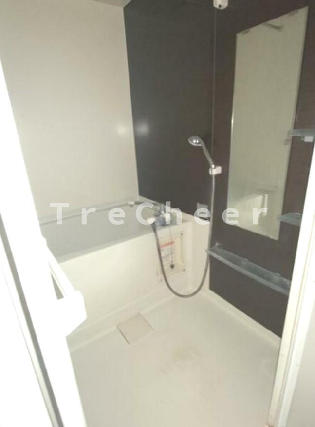 Red Wing Ⅰの浴室