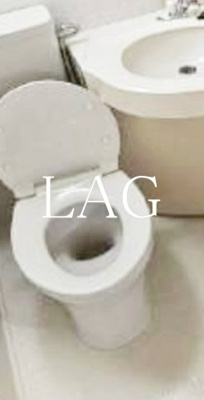 【トイレ】 | ダイアパレス相模原Ⅲ | トイレです。