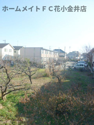 【展望】 | カーサキアーラ