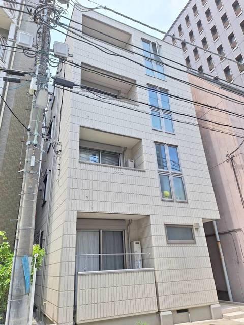 Ｙｅｌｌｏｗ　Ｐａｒｒｏｔの外観
