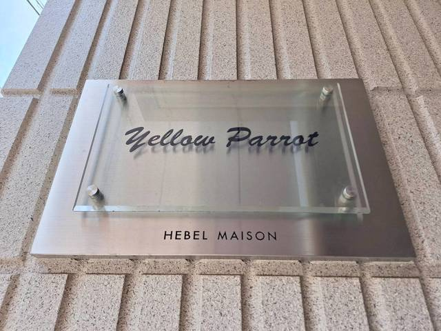 Ｙｅｌｌｏｗ　Ｐａｒｒｏｔのその他|不動前東急ストア