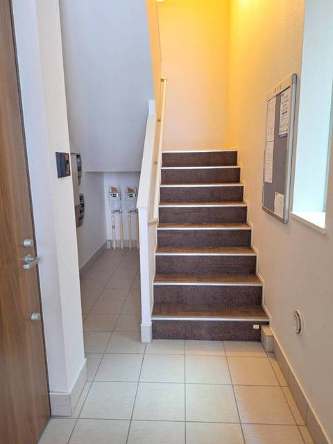 Ｙｅｌｌｏｗ　Ｐａｒｒｏｔの周辺