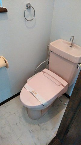メイプルハイツのトイレ
