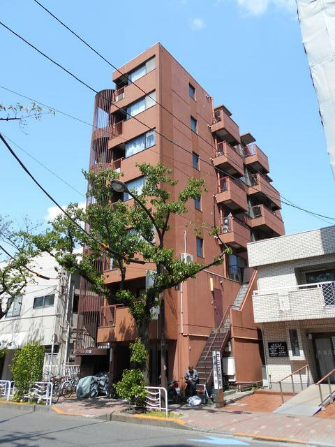 オリエンタル常磐の画像