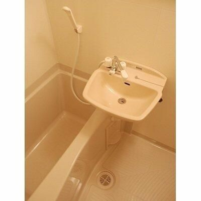 ハーモニーレジデンス御茶ノ水の浴室