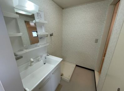 半田市柊町4丁目　ハリーヒルズ清城の独立洗面台