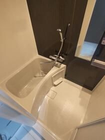 ザ・クラスアーバンス水道橋本郷の浴室