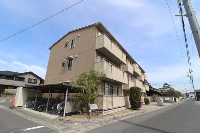 ｓｕｎ　ｌｉｖｅ