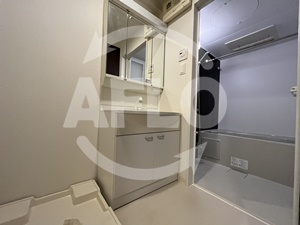 ブランブリエ京橋の洗面所|ブランブリエ京橋　洗面所