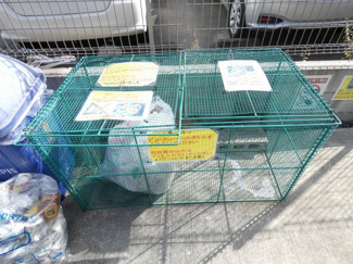 【その他共用部分】 | ヴェリテール本陣