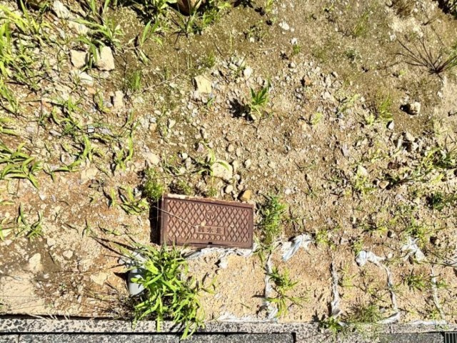 【周辺】の画像