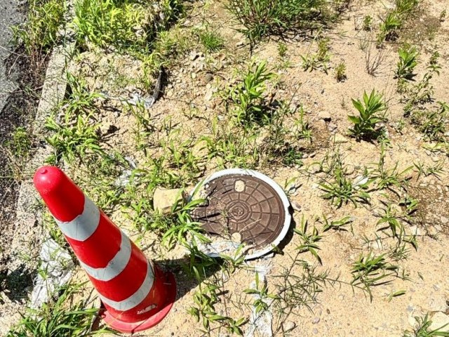 【区画図】の画像