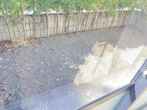 エクセルシエール竹島の庭