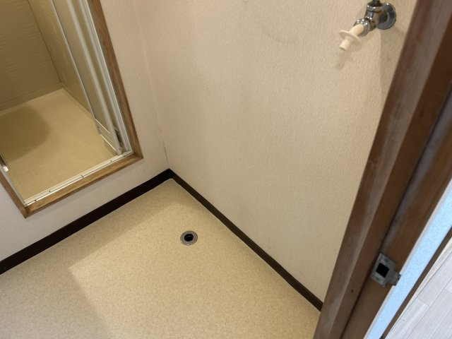 コーポはるやまの洗面所