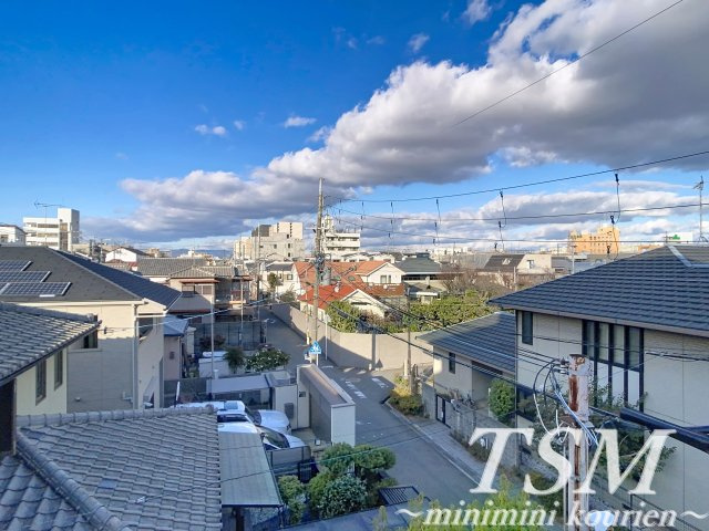 ウィルコートの展望