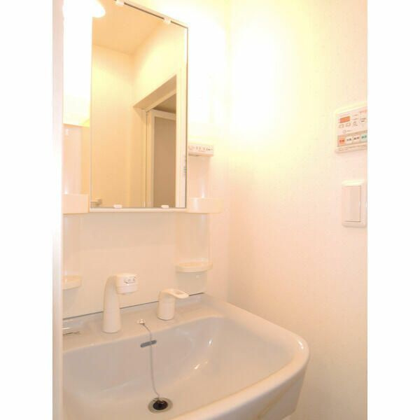 RADIANT IWADAの洗面所