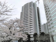 文京グリーンコートビュータワー本駒込Ｂ棟の画像