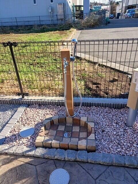 レガリアのその他