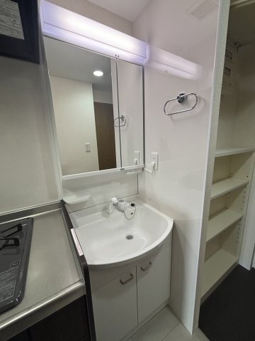 テラスジョージタウンの洗面所