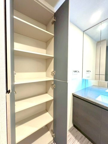 ◆京阪鴨東線「神宮丸太町」駅徒歩９分◆築浅３LDK角住戸◆ペット飼育可能◆ローレルコート京都御所東の洗面所|収納スペース付き