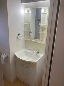 ミリアビタＮｏ．１５の洗面所