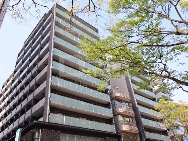 クラスけやき通り