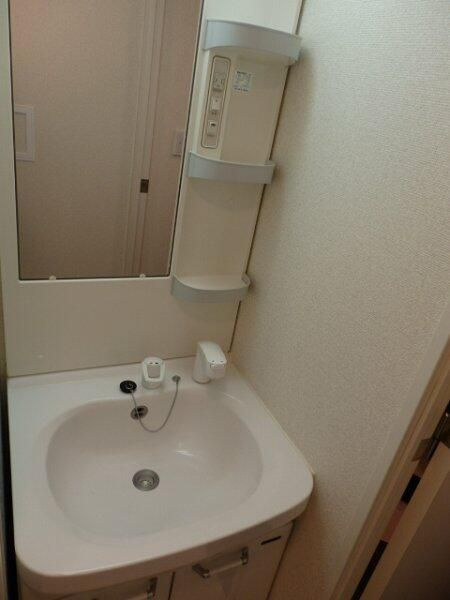 フェニックス高田馬場弐番館の洗面所