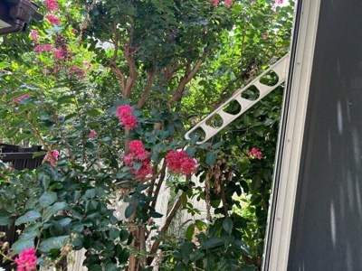 【展望】 | CASA ESPINACA