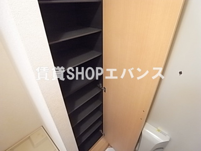  | オーキッド | シューズボックスです