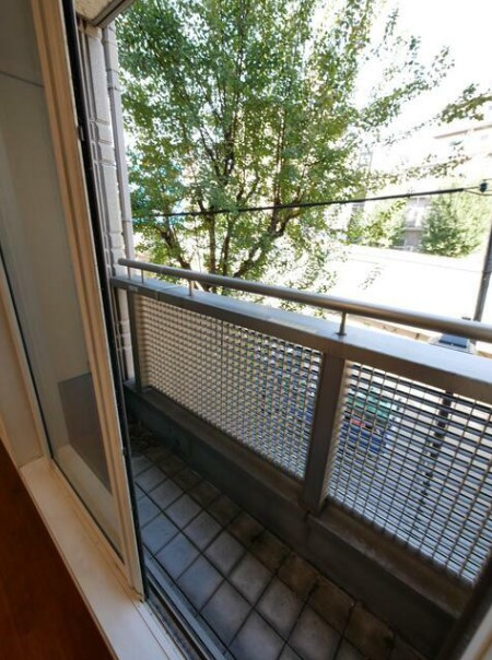 バムブーグラスの展望