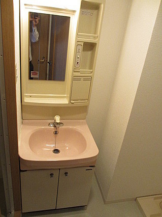 アミーグランコート三宮の洗面所