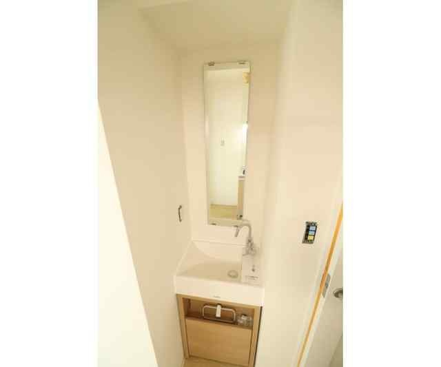 メゾンジュネスの洗面所