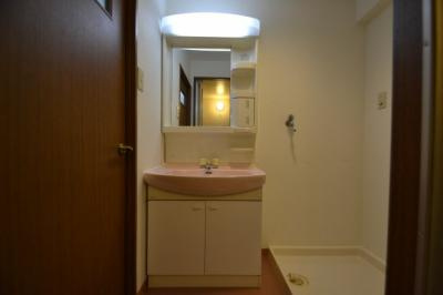 ファミリーハイツ徳井の洗面所