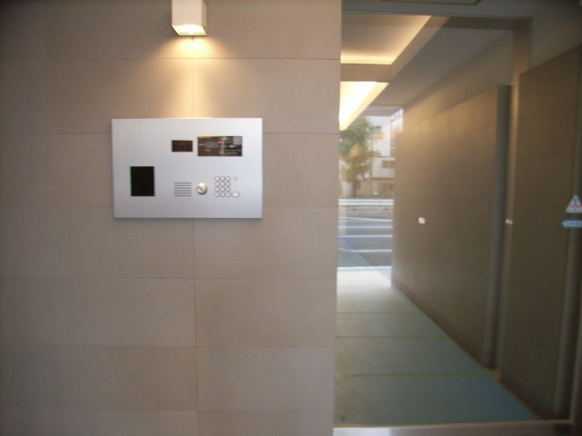 レイシス大山山手通りのセキュリティ