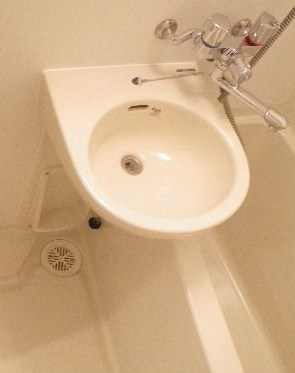 レイシス大山山手通りの洗面所