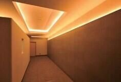 レイシス大山山手通りのその他共用部分