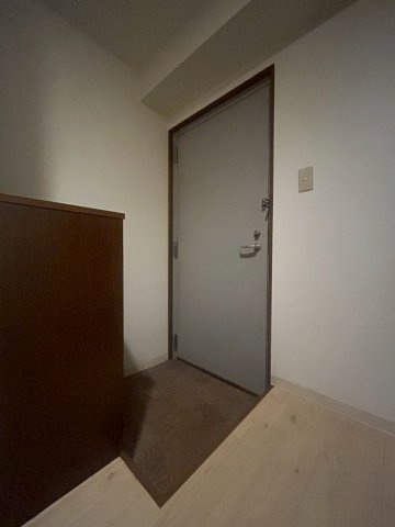 カーサゼブラ土佐堀の玄関