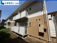 ミニヨンほたるの画像