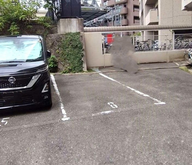【駐車場】 | 大濠ハイツ | 駐車場1台分の権利付きです
