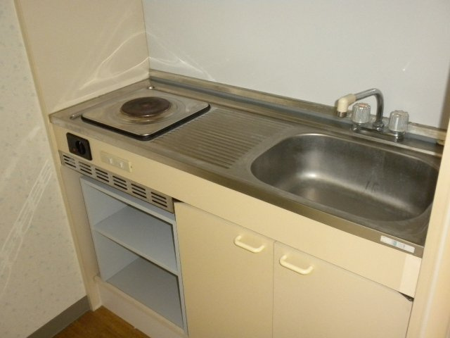 プレジデント城山のキッチン