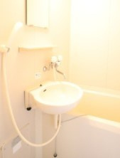 メゾン・モミジの洗面所