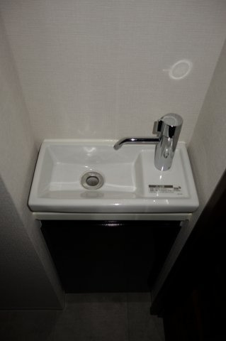 メインステージ入谷Ⅱの独立洗面台