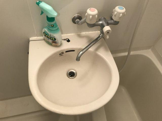 メインシティガーデンベレノスの洗面所