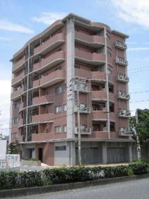 ハイライズミチホ