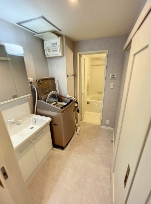 ピッコロ白山の洗面所