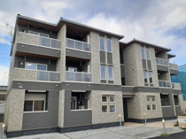 マロン　グロリアの画像