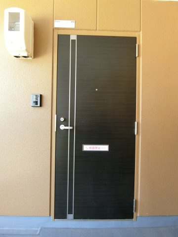 スピカの玄関|イメージ201号室の写真